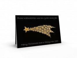 Weihnachtskarte 2118